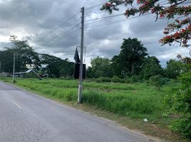  Grundstück zu verkaufen in Hang Dong, Chiang Mai, Ban Waen