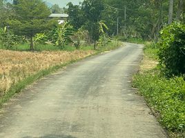 在山甘烹, 清迈出售的 土地, Sai Mun, 山甘烹