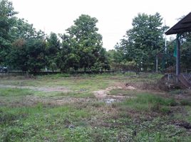  Grundstück zu verkaufen in Mueang Loei, Loei, Na An, Mueang Loei