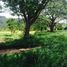  Land for sale in Prachuap Khiri Khan, Hua Hin City, Hua Hin, Prachuap Khiri Khan