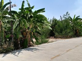  Land for sale in Khlong Ha, Khlong Luang, Khlong Ha