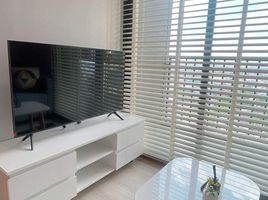 1 Bedroom Condo for rent at Nue Noble Srinakarin - Lasalle, Samrong Nuea