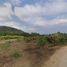  Land for sale in Lamphun, Mueang Chi, Mueang Lamphun, Lamphun