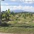  Land for sale in Khuang Pao, Chom Thong, Khuang Pao