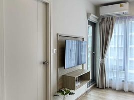 1 Bedroom Apartment for rent at Phyll Phuket by Central Pattana, Wichit, Phuket Town, Phuket