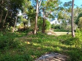  Land for sale in Thong Krut Beach, Taling Ngam, Taling Ngam