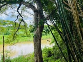  Grundstück zu verkaufen in Mae Rim, Chiang Mai, Mueang Kaeo, Mae Rim, Chiang Mai