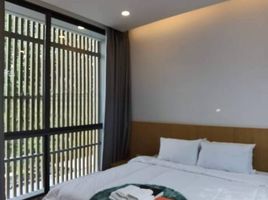 3 Bedroom Villa for sale in Mueang Chiang Mai, Chiang Mai, Chang Phueak, Mueang Chiang Mai