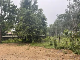  Land for sale in Thep Krasattri, Thalang, Thep Krasattri