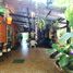1 Bedroom House for sale in Sam Phrao, Udon Thani, Sam Phrao, Mueang Udon Thani, Udon Thani