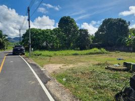  Grundstück zu verkaufen in Thalang, Phuket, Choeng Thale