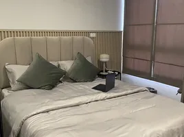 1 Bedroom Condo for rent at Monté RSU, Lak Hok, Mueang Pathum Thani, Pathum Thani