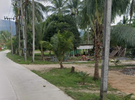  Grundstück zu verkaufen in Ko Pha-Ngan, Surat Thani, Ko Pha-Ngan