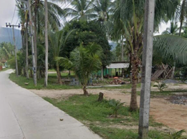  Grundstück zu verkaufen in Ko Pha-Ngan, Surat Thani, Ko Pha-Ngan, Ko Pha-Ngan