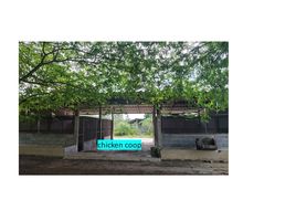  Land for sale in Ko Chan, Chon Buri, Tha Bunmi, Ko Chan