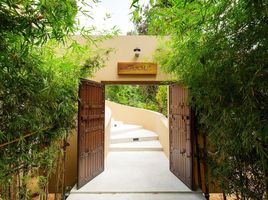 บ้านเดี่ยว 3 ห้องนอน ให้เช่า ในทำเล สุราษฎร์ธานี, เกาะพะงัน, เกาะพะงัน, สุราษฎร์ธานี
