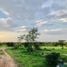  Land for sale in Sung Noen Nakhon Ratchasima, Makluea Kao, Sung Noen