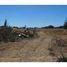  Land for sale in Longavi, Linares, Longavi