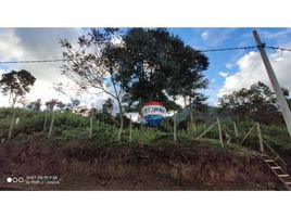  Land for sale in Rio de Janeiro, Nova Friburgo, Nova Friburgo, Rio de Janeiro