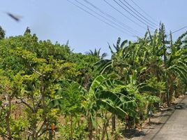  Земельный участок на продажу в Baan Maneekram-Jomthong Thani, Wichit, Пхукет Тощн, Пхукет, Таиланд