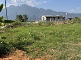  Land for sale in Mae Sai, Chiang Rai, Pong Pha, Mae Sai