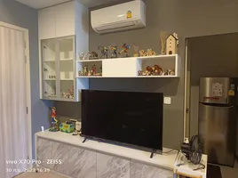 ขายคอนโด 1 ห้องนอน ในโครงการ ชีวาทัย เกษตร - นวมินทร์, เสนานิคม, จตุจักร, กรุงเทพมหานคร