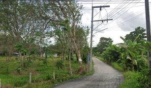 N/A Grundstück zu verkaufen in Thep Krasattri, Phuket 