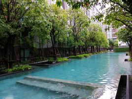 在Vtara Sukhumvit 36租赁的1 卧室 公寓, Khlong Tan