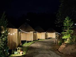 5 Schlafzimmer Hotel / Resort zu verkaufen in Mae Taeng, Chiang Mai, Mueang Kai, Mae Taeng