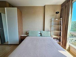 1 Schlafzimmer Appartement zu vermieten im One Plus Suandok 4,5,6, Suthep, Mueang Chiang Mai