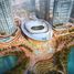 3 Bedroom Condo for sale at Opera Grand, Burj Khalifa Area, Downtown Dubai