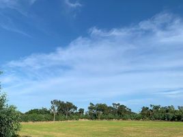  Grundstück zu verkaufen in Phayakkhaphum Phisai, Maha Sarakham, Mueang Tao, Phayakkhaphum Phisai