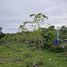  Land for sale in Phuket, Pa Khlok, Thalang, Phuket