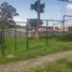  Land for sale in Heredia, San Pablo, Heredia