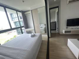 1 Schlafzimmer Wohnung zu vermieten im Connext, Talat Nuea, Phuket Town, Phuket