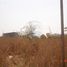  Land for sale in India, n.a. ( 1728), Ranga Reddy, Telangana, India