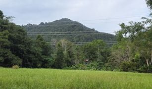 ขายที่ดิน N/A ใน เทพกระษัตรี, ภูเก็ต 