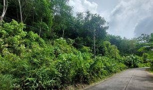 N/A Land for sale in Chalong, Phuket 