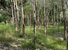  Land for sale in Nakhon Si Thammarat, Thai Buri, Tha Sala, Nakhon Si Thammarat