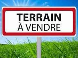  Grundstück zu verkaufen in Agadir Ida Ou Tanane, Souss Massa Draa, Na Agadir, Agadir Ida Ou Tanane