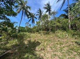  Grundstück zu verkaufen in Koh Samui, Surat Thani, Bo Phut