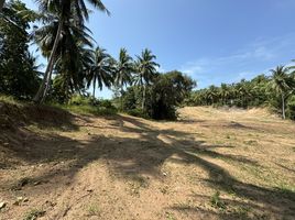  Land for sale in Ban Tai, Ko Pha-Ngan, Ban Tai