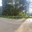  Land for sale in Mueang Krabi Krabi, Khao Thong, Mueang Krabi, Krabi
