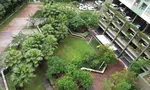 Communal Garden Area at Lumpini Park Rama 9 - Ratchada