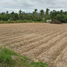  Land for sale in Khao Khan Song, Si Racha, Khao Khan Song