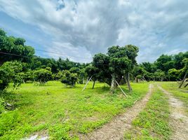  Grundstück zu verkaufen in Mae Rim, Chiang Mai, Mueang Kaeo, Mae Rim, Chiang Mai