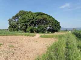  Grundstück zu verkaufen in Phu Khiao, Chaiyaphum, That Thong, Phu Khiao, Chaiyaphum