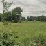  Land for sale in Pak Phriao, Mueang Saraburi, Pak Phriao