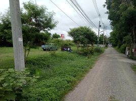  Land for sale in Mae Hia, Mueang Chiang Mai, Mae Hia