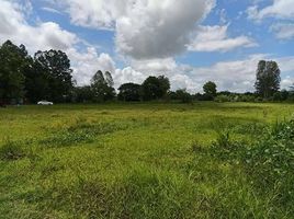  Land for sale in Khon Kaen, Sai Mun, Nam Phong, Khon Kaen